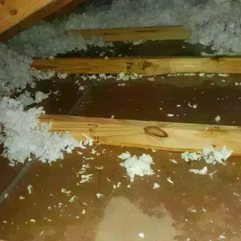 Attic Water Damage in Waller County, TX